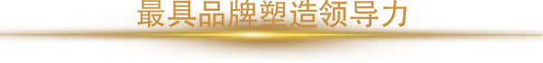 2018年度最具品牌塑造領導力人物獎